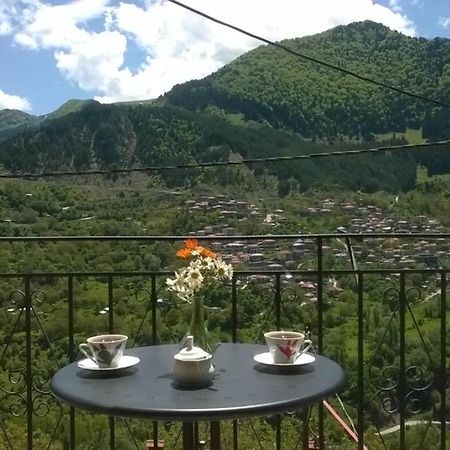 Baou House Lägenhet Metsovo Exteriör bild